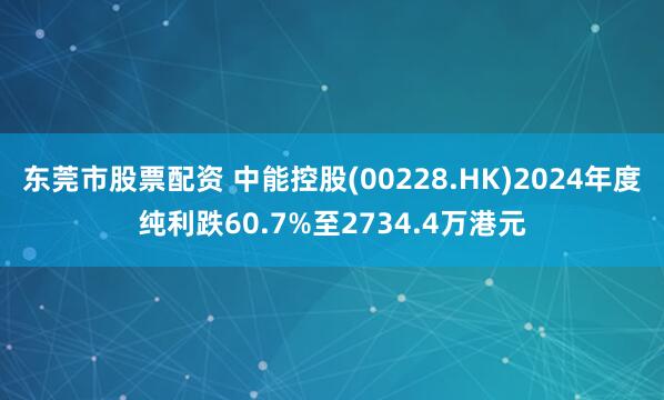 东莞市股票配资 中能控股(00228.HK)2024年度纯利跌60.7%至2734.4万港元