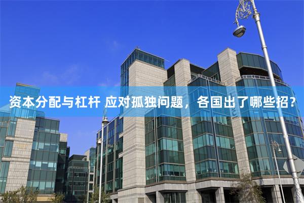 资本分配与杠杆 应对孤独问题，各国出了哪些招？
