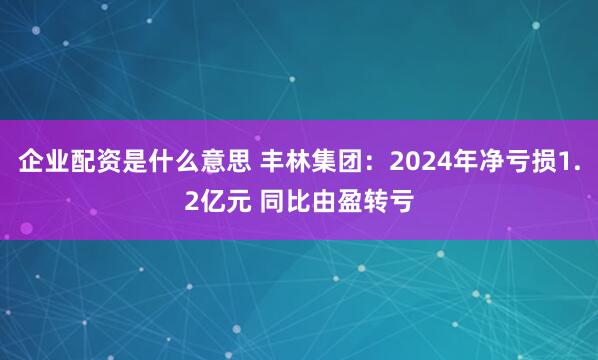 企业配资是什么意思 丰林集团：2024年净亏损1.2亿元 同比由盈转亏
