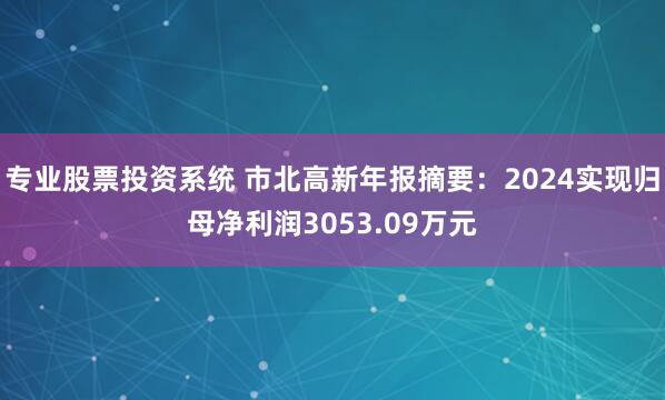 专业股票投资系统 市北高新年报摘要：2024实现归母净利润3053.09万元