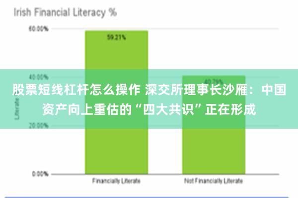 股票短线杠杆怎么操作 深交所理事长沙雁：中国资产向上重估的“四大共识”正在形成