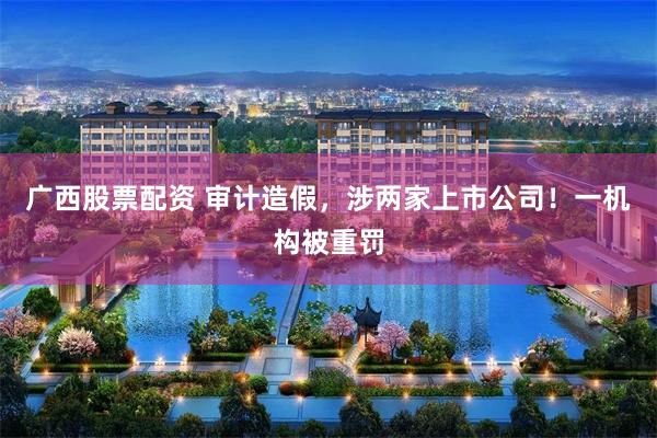 广西股票配资 审计造假，涉两家上市公司！一机构被重罚