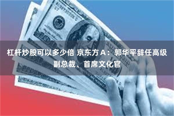 杠杆炒股可以多少倍 京东方Ａ：郭华平辞任高级副总裁、首席文化官