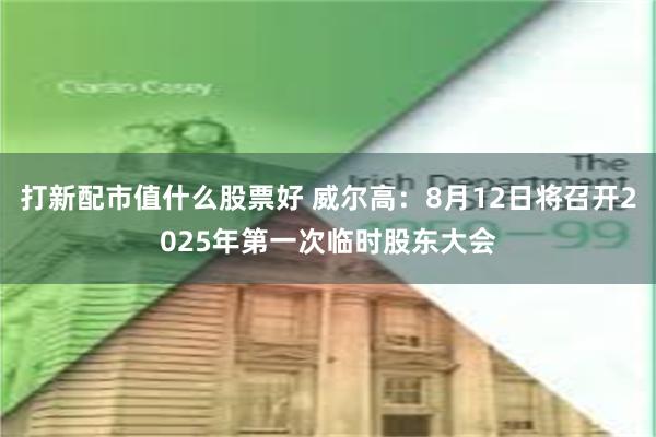 打新配市值什么股票好 威尔高：8月12日将召开2025年第一次临时股东大会