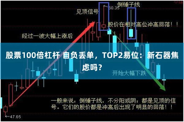 股票100倍杠杆 自负丢单,TOP2易位:新石器焦虑吗?